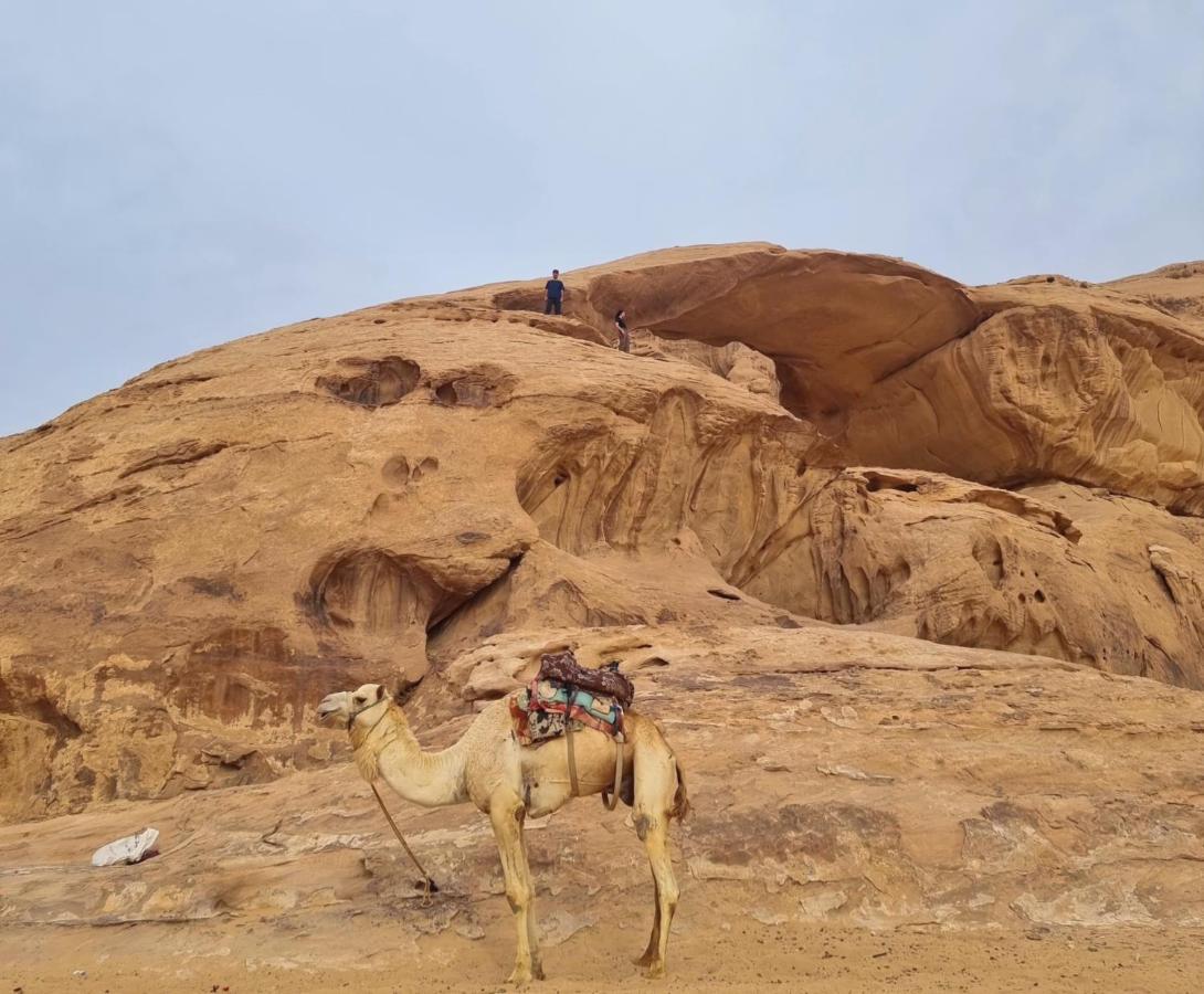 Wadi rum Hugo camp Bagian luar foto